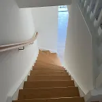 Apartment Snowdogs