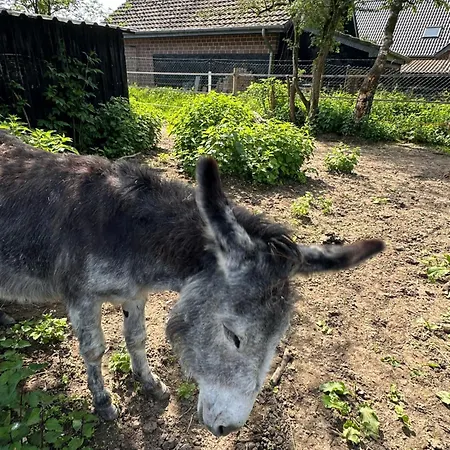 Appartement Snowdogs Goch