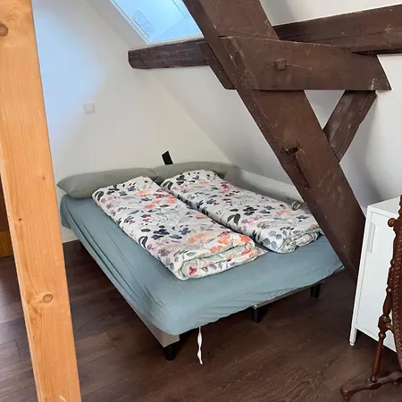 Apartamento Snowdogs *