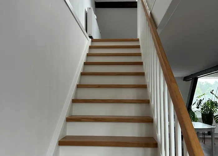 Snowdogs Lejlighed Goch