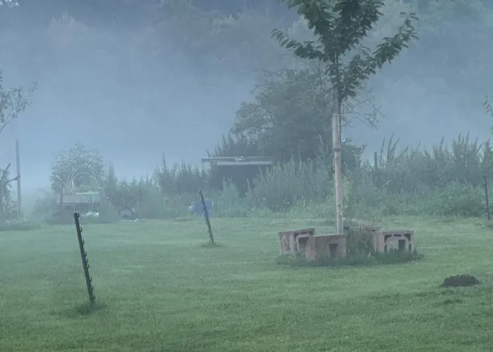 Snowdogs Lejlighed *