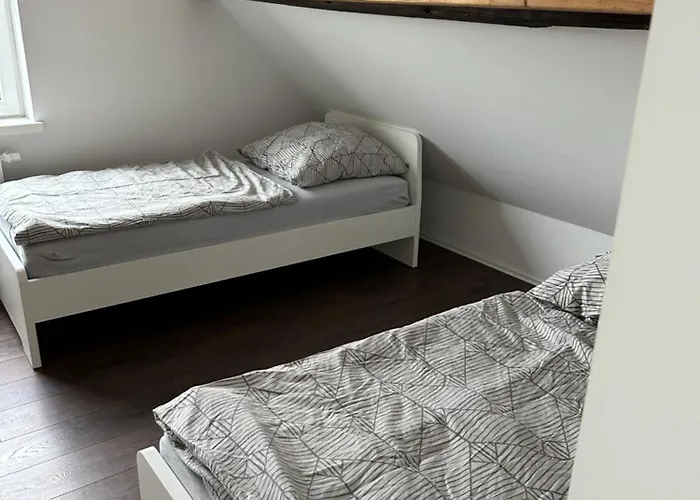 Snowdogs Lejlighed *