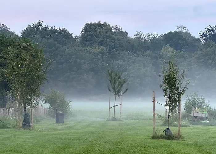 Snowdogs Lejlighed Goch